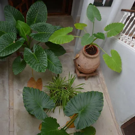 Casa Del Renacimiento Hotel